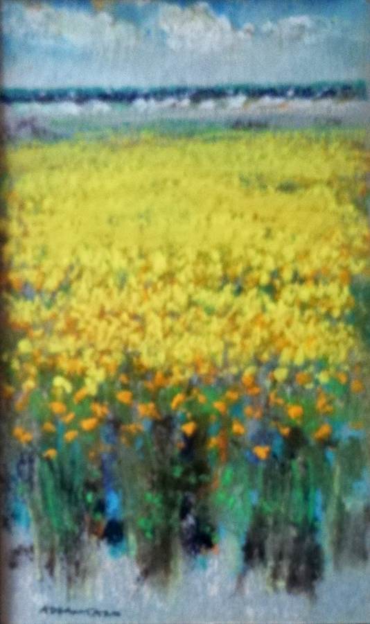 campo-di-fiori-gialli
