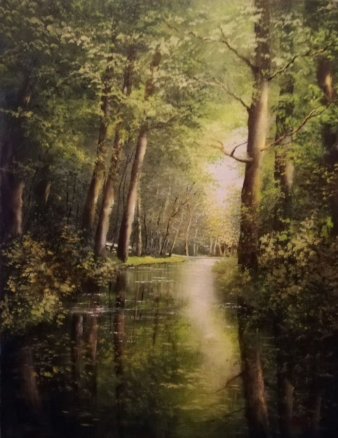 corso-dacqua-nel-bosco