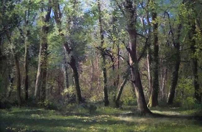 mattina-di-primavera-a-bosco-fontana