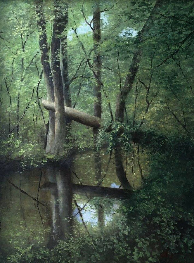 rio-begotta-a-bosco-fontana