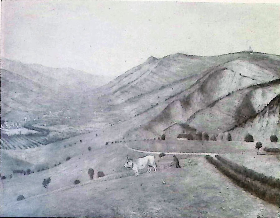 predappio-e-le-caminate