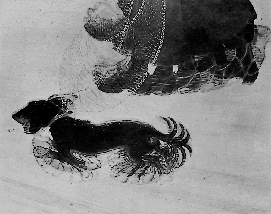 cagnolino-al-guinzaglio-xvii-biennale-di-venezia