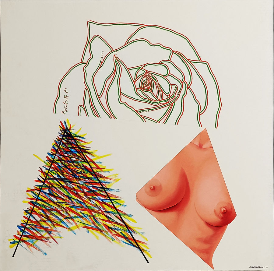 senza-titolo-la-rosa-il-seno