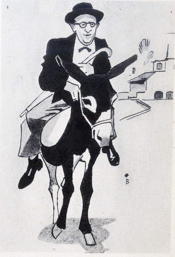 lui-che-non-ha-carrozza