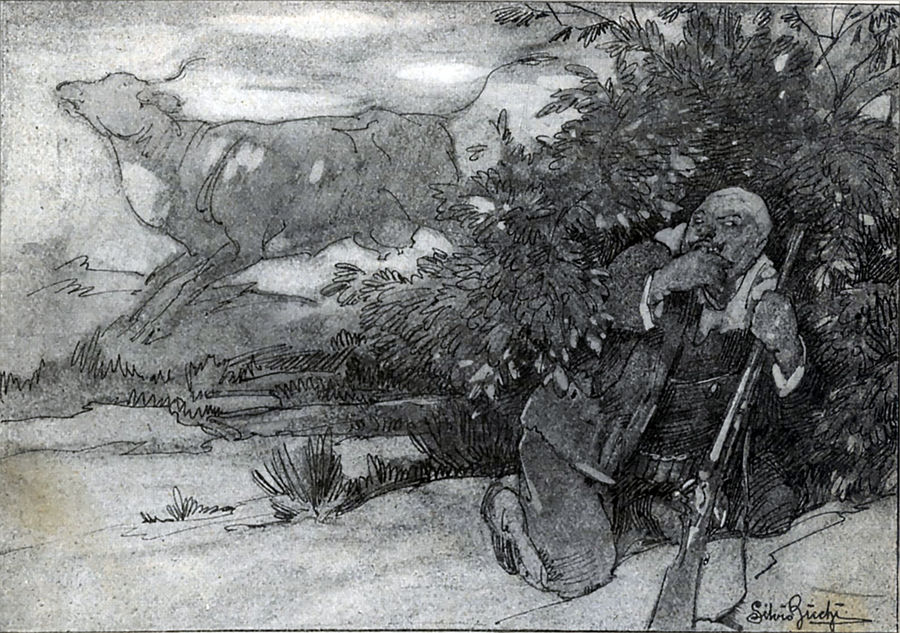 si-nascose-in-una-macchia-di-quercette