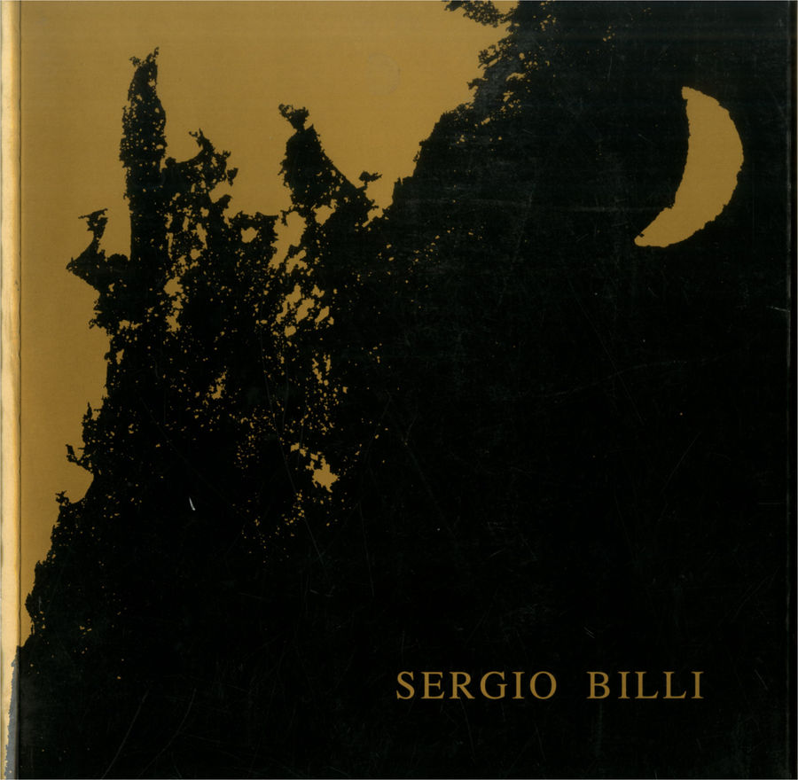 2001 - (Biblioteca d’Arte Sartori - Mantova).