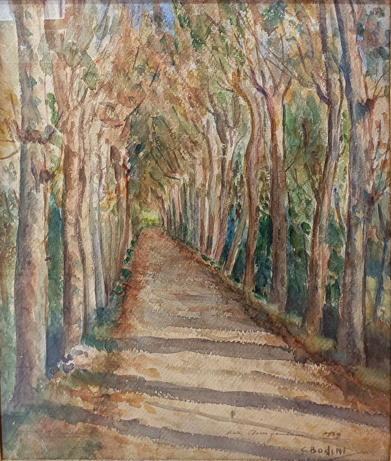 viale-bosco-fontana