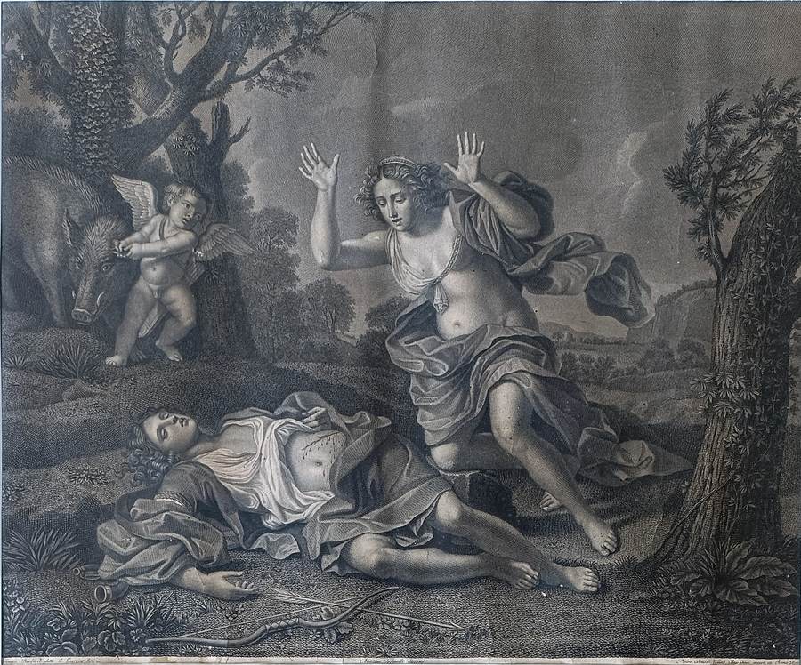 piange-linconsolabile-venere-il-suo-diletto-adone-ucciso-dal-cinghiale-francesco-barbieri-detto-il-guercino-dipinse-agostino-tofanelli-disegno-pietro-bonato-veneto-bassanese-incise-in-roma-1807-mm-420x510-senza-dedica-rifilata