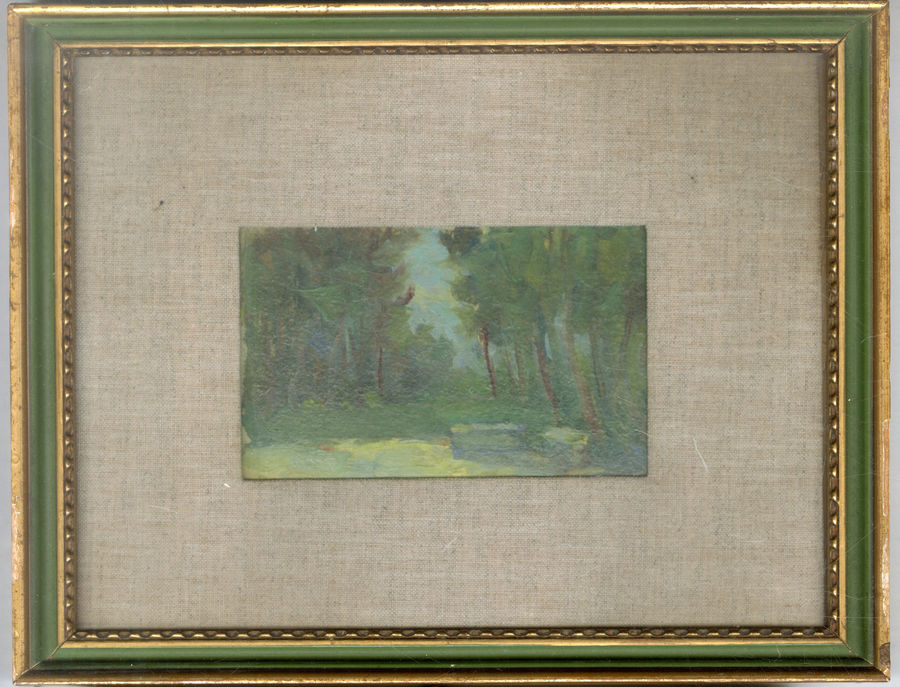 bozzoli-parco-virgiliano-mantova