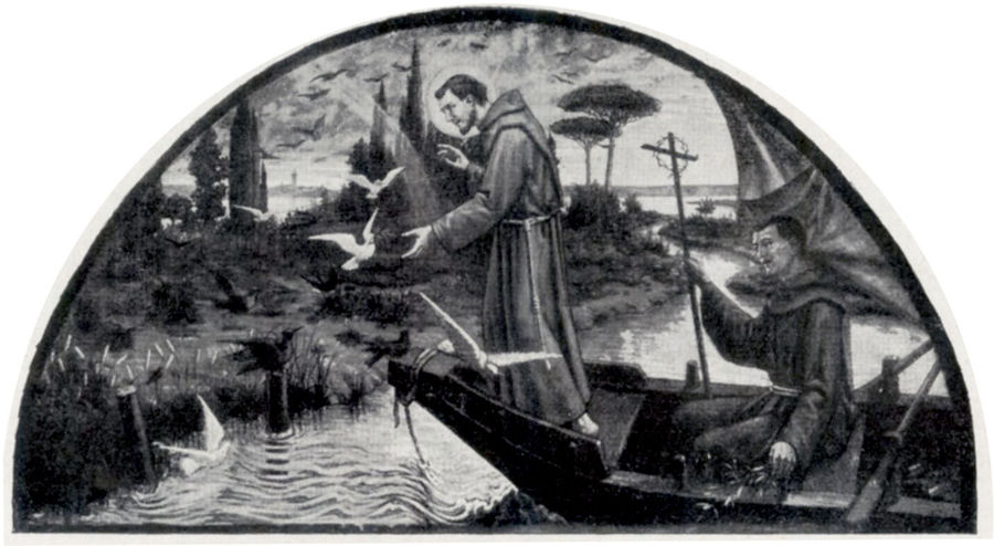 gli-uccelli-salutano-san-francesco-san-francesco-del-deserto-venezia