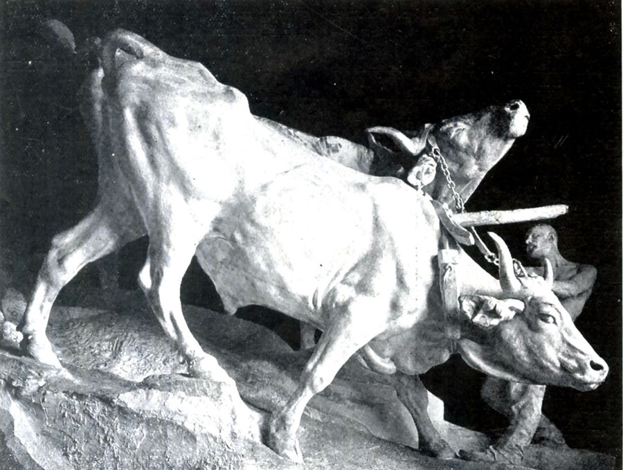 laratura-bovi-allaratro