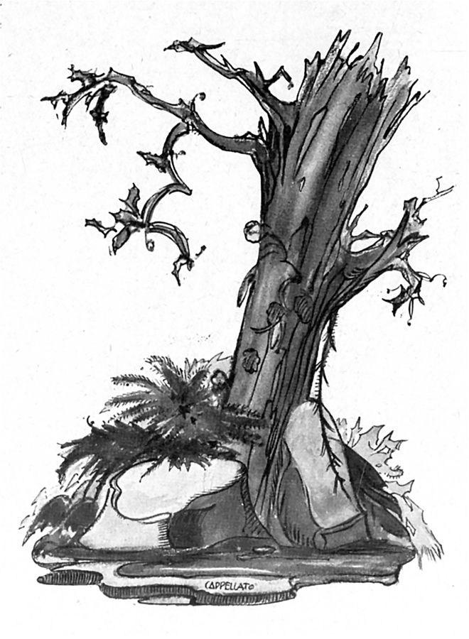 lannegato-racconto-peruviano-di-ventura-garcia-calderon