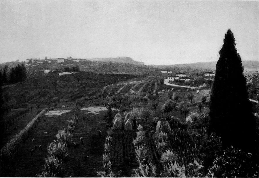 campagna-dorsenigo-brianaza