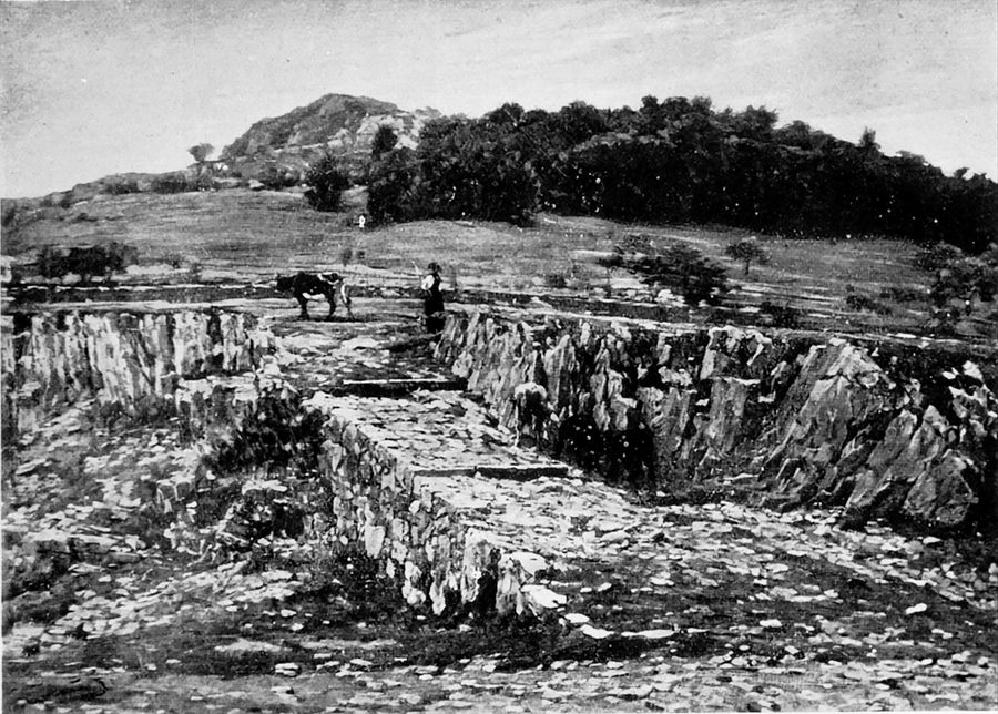 la-strada-al-bosco-dei-garganelli