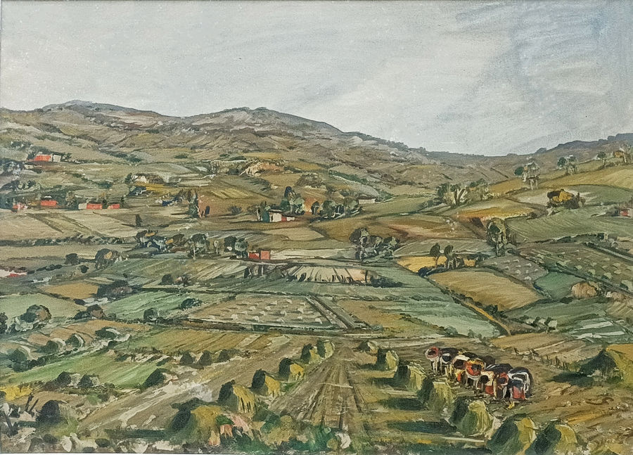 castagna-campi-morenici