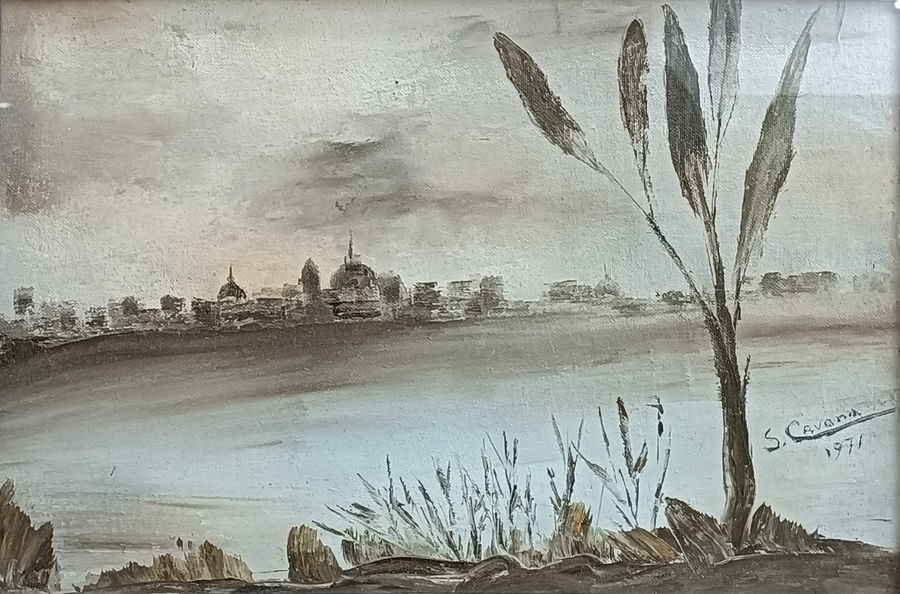 cavana-mantova-vista-dal-lago
