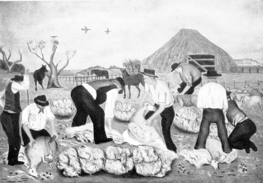 tosatura-dele-pecore