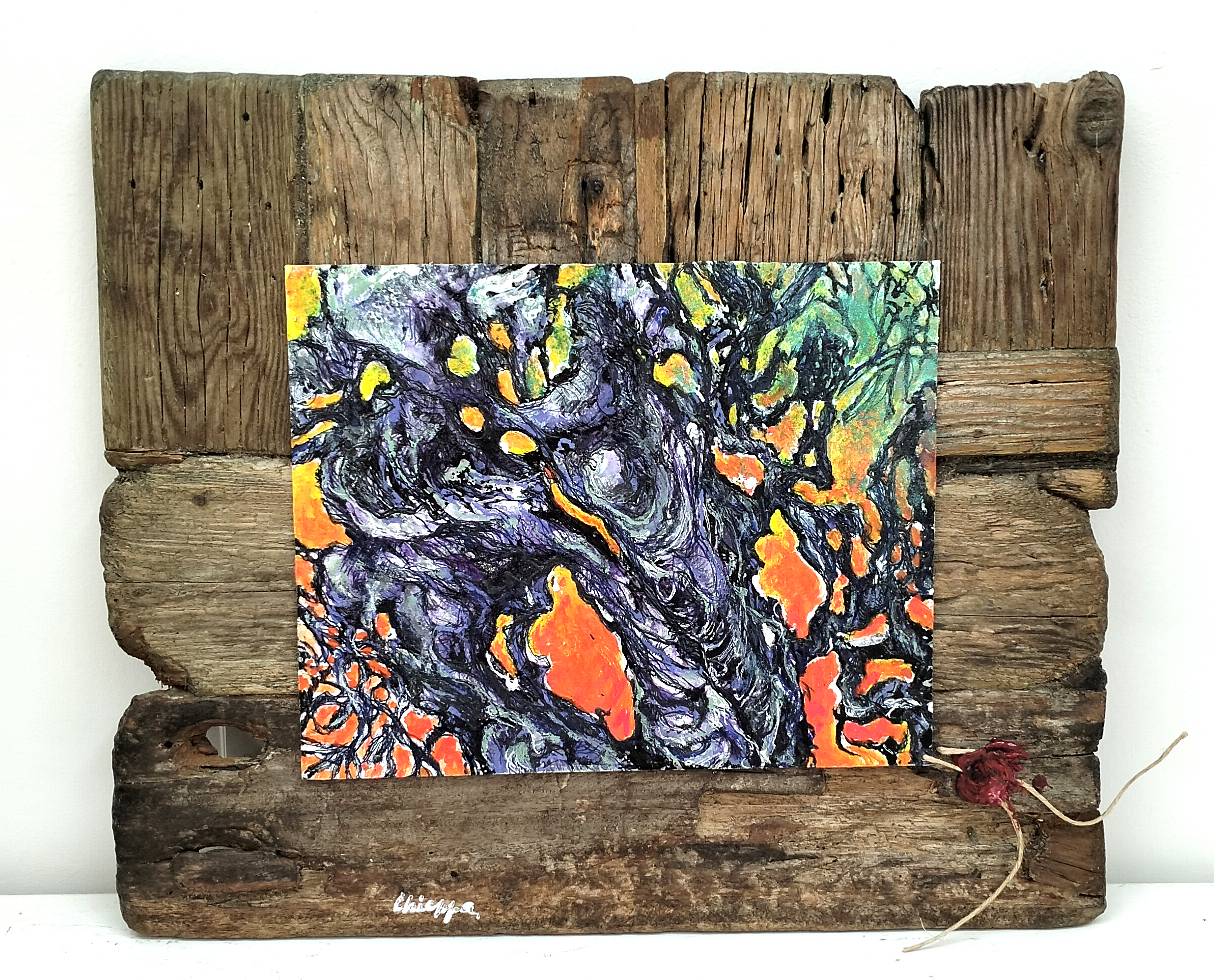 xylella