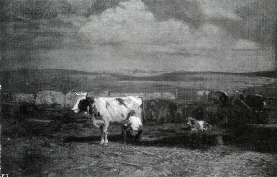 la-vacca-bianca