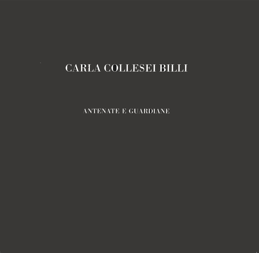 s.d. (2003) - (Biblioteca d’Arte Sartori - Mantova).