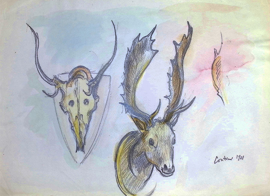 teste-di-animali-trofei