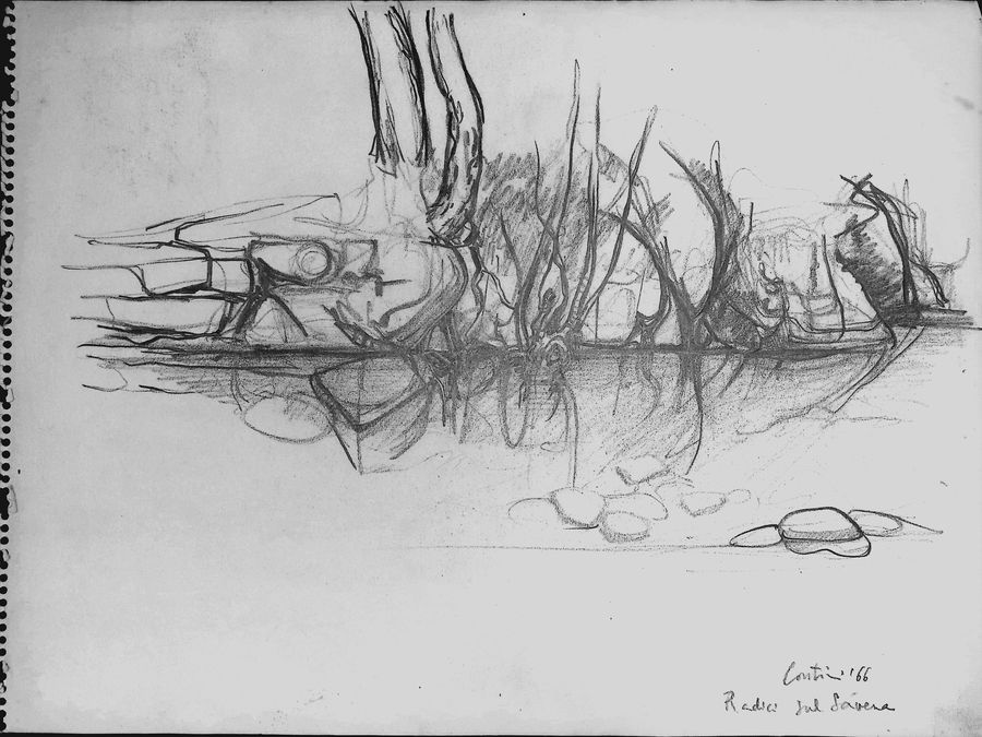 radici-sul-savena-firenzuola