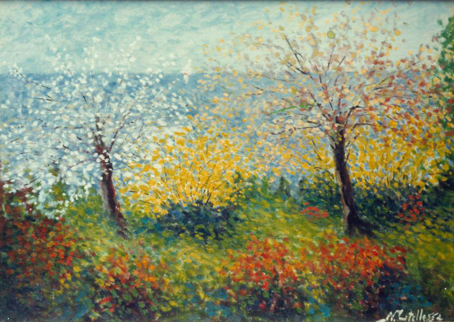 alberi-fioriti