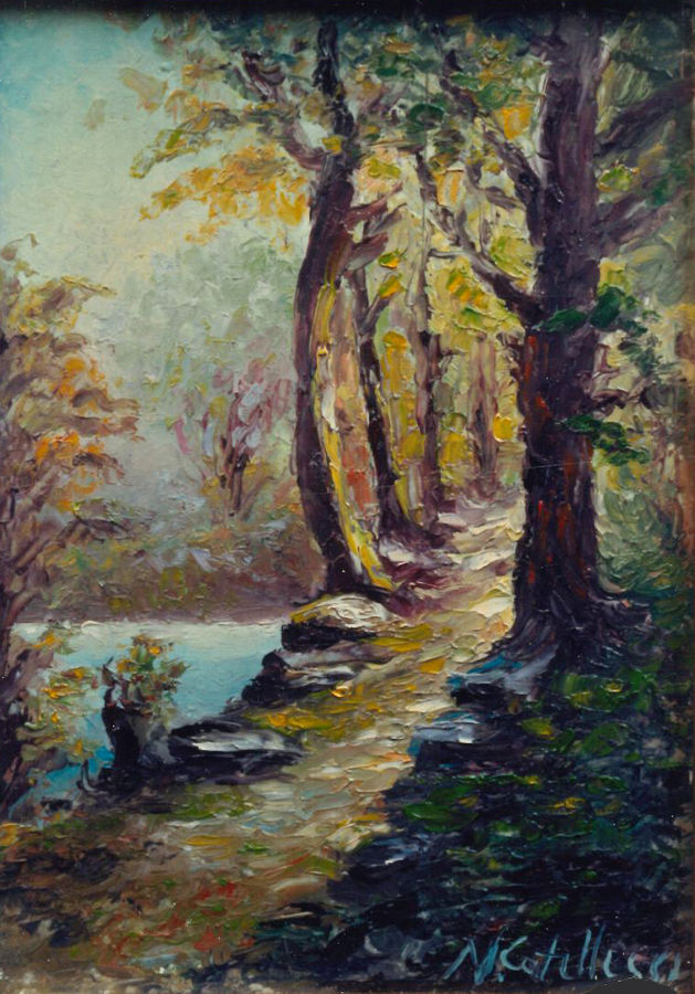 sentiero-nel-bosco