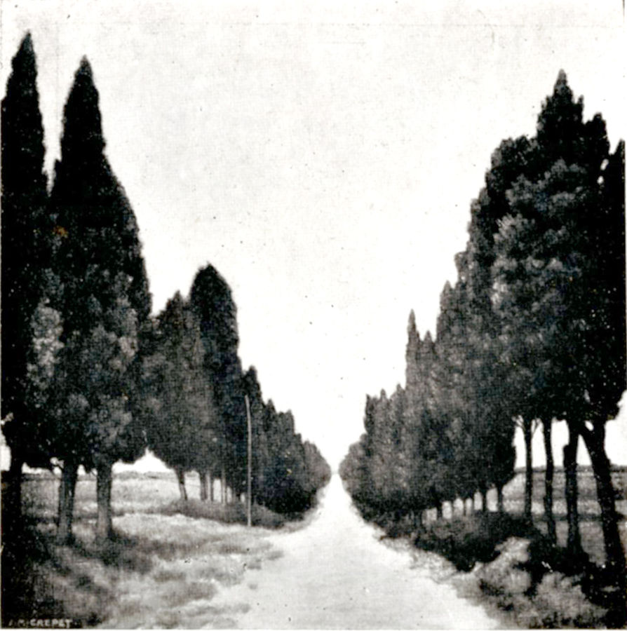strada-di-campagna