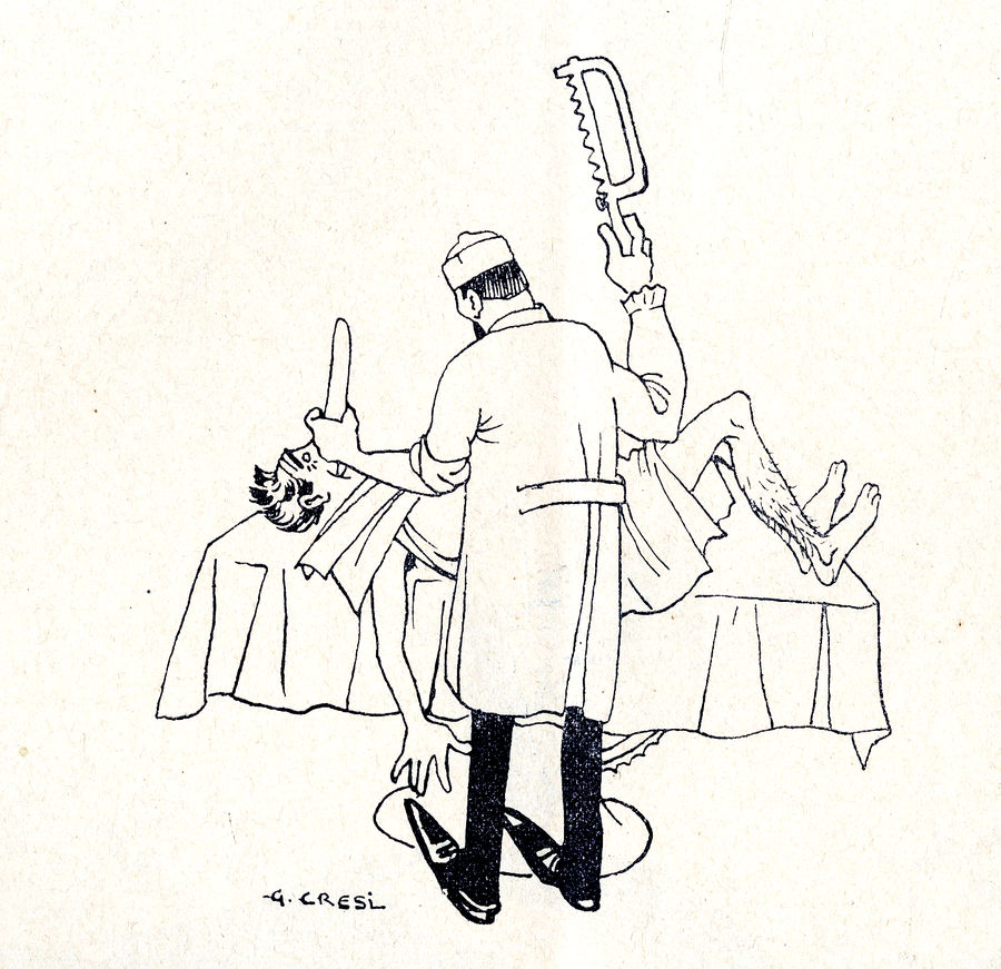 cera-una-pianta-che-3