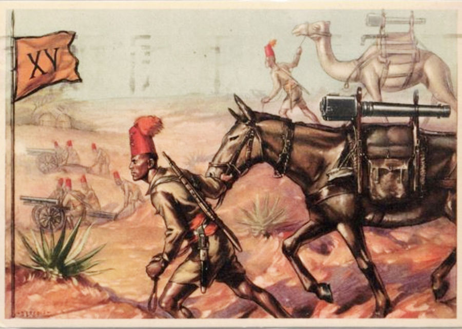 xv-gruppo-artiglieria-someggiata-coloniale-cartolina