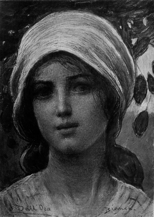 fiore-di-campo-fanciulla-senese