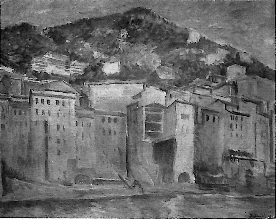 paesaggio-di-camogli