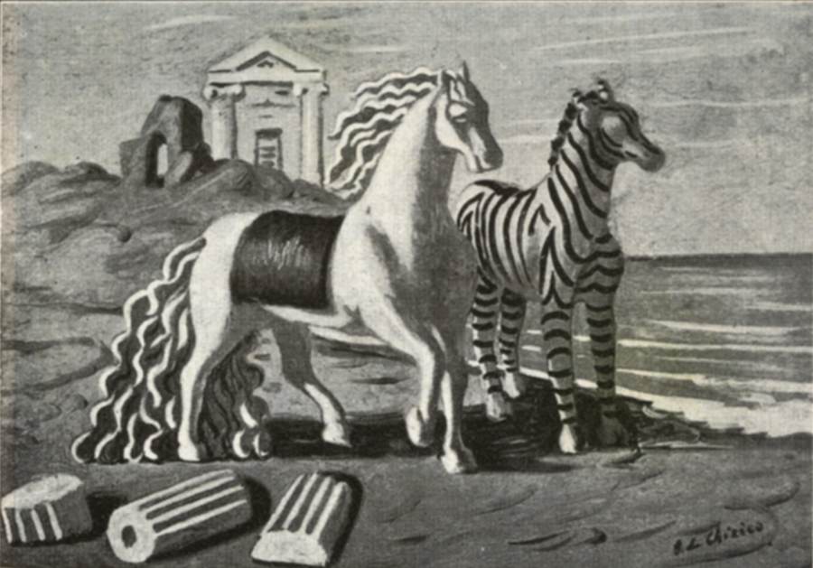 cavallo-e-zebra
