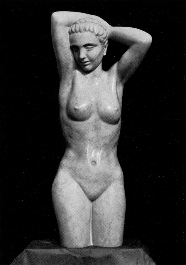 fanciulla-che-si-acconcia-le-chiome