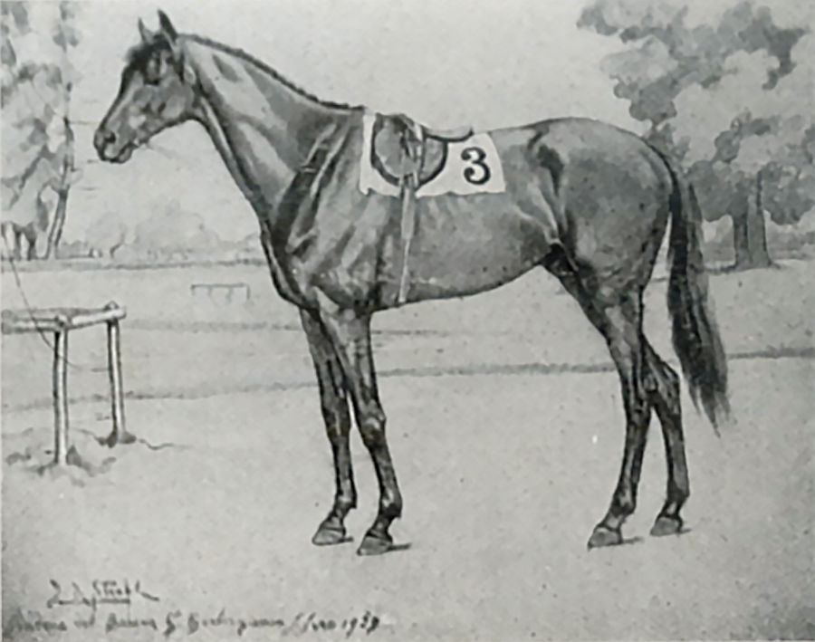 senza-titolo-cavallo-da-corsa