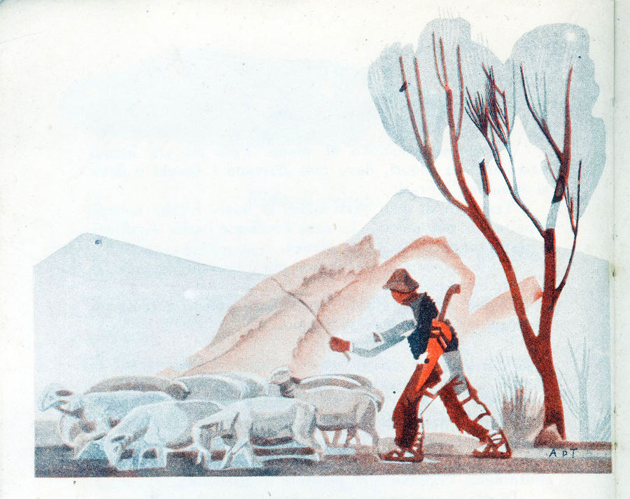 le-pecore-attraverso-la-campagna