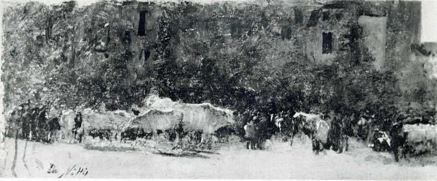 mercato-delle-mucche