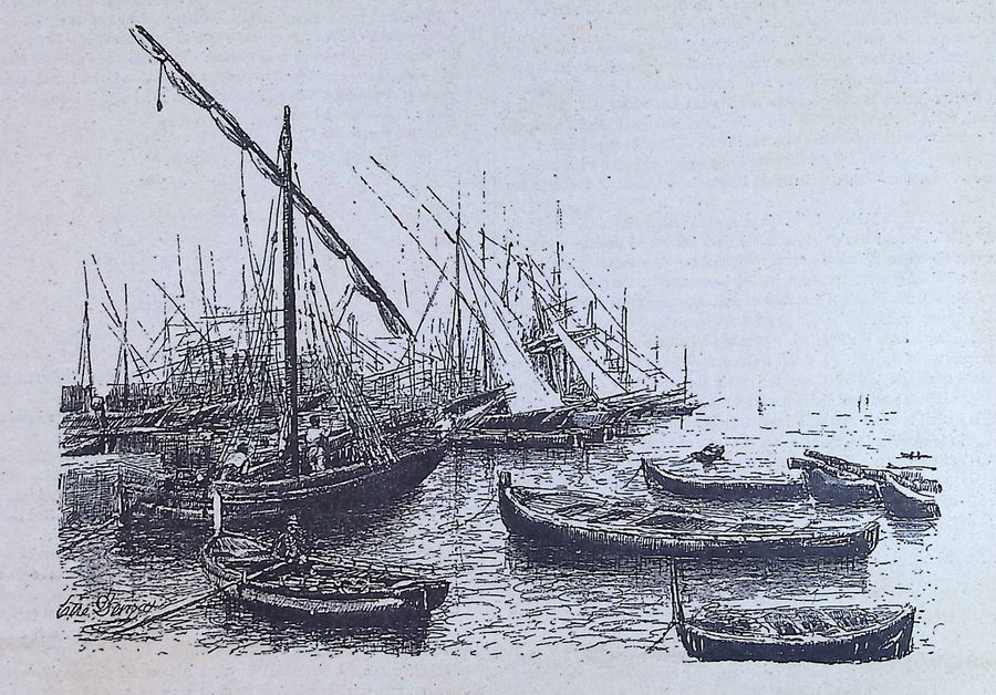 marina