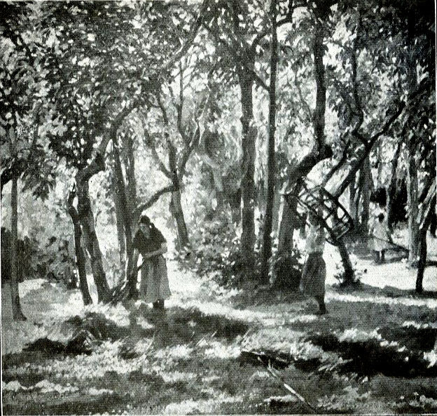 la-raccolta-del-fieno