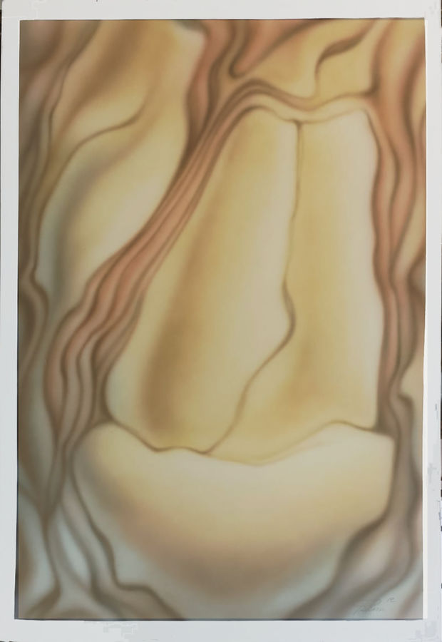 farina-l-studio-di-corteccia