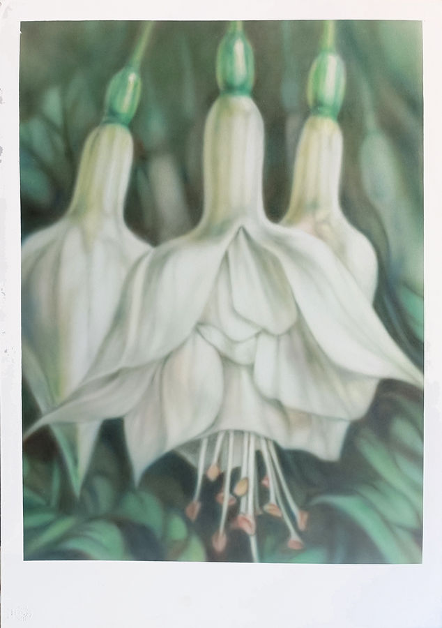 farina-l-fiore-di-campo-bianco