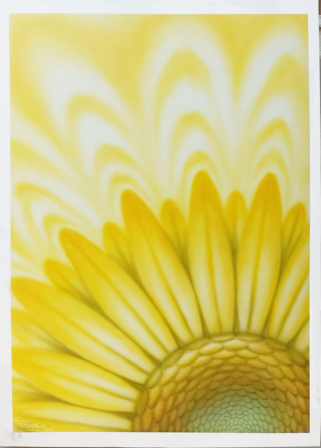 farina-l-girasole-geodinamico-espansivo