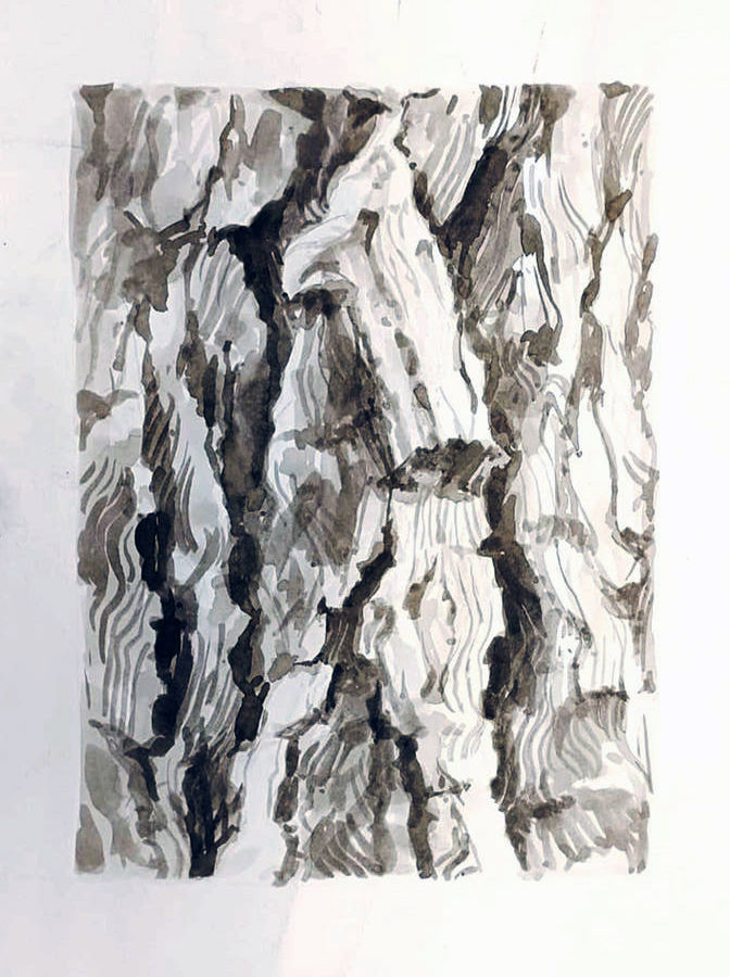 farina-l-corteccia-dal-vero