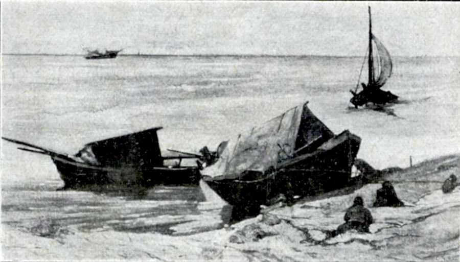 bache-a-riva-collezioneojetto