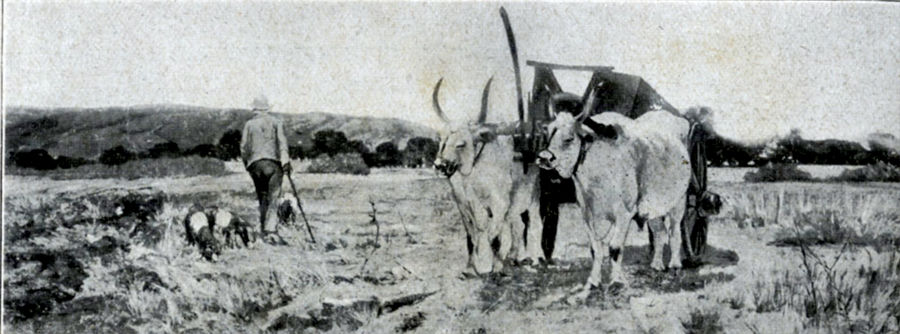 maremma-toscana-firenze-galleria-darte-moderna