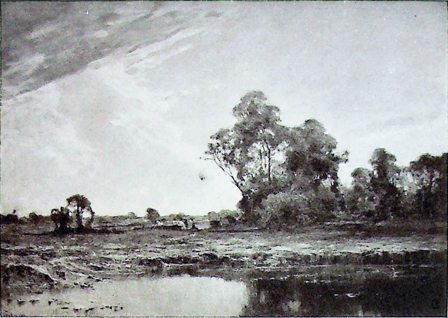 stagno-campagna-padana