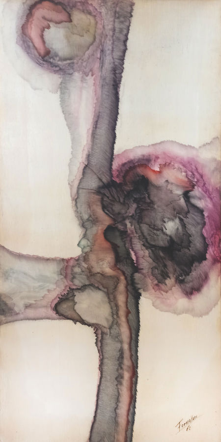 radiografia