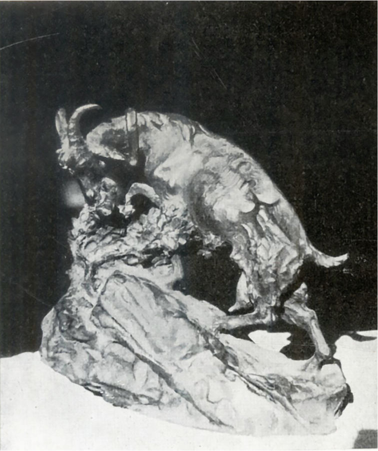 capretta-sul-sentiero