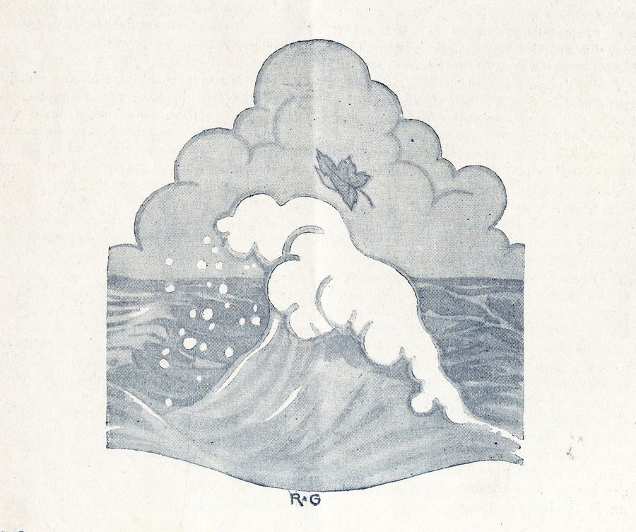 novella-di-una-foglia-2